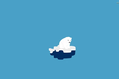 Polar Bears Wallpapers   Animal Wallpapers