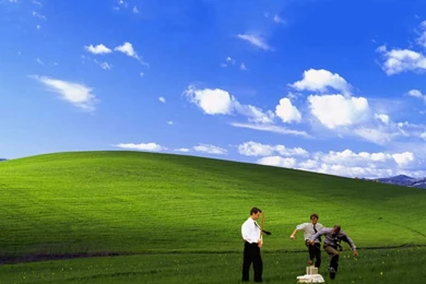 The 13 Best Takes On The Windows XP Bliss Wallpapers   Dorkly Post