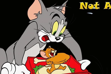 Tom And Jerry Lunch   TOM AND JERRY Wallpapers