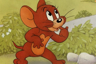 Tom, And, Jerry, Wallpaper, High Resolution, For, Desktop   Wallpapers