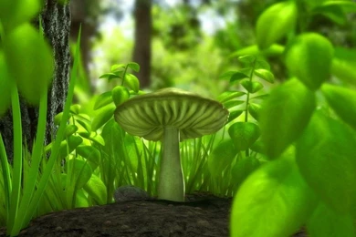 3d Nature Wallpapers Desktop Wallpapers PC Wallpapers Hd Wallpapers ...