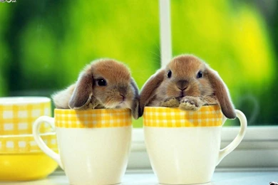 2015 09 23   Page 165