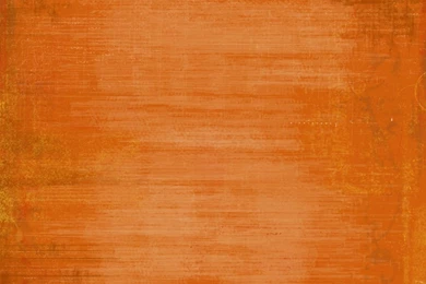 Shabby Princess Kristie_SF_OrangePa.jpg