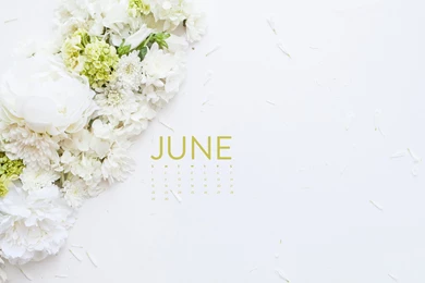 Printables & Downloads