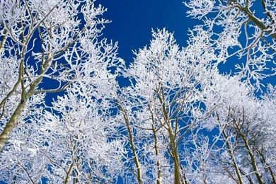 Snowy Desktop Backgrounds   Wallpapers Cave