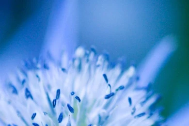 Flower Art Desktop 720x1280 Galaxy S3 Samsung Wallpapers HD_Samsung ...