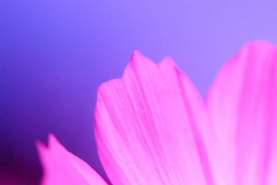 Gallery For   Adult Samsung Wallpapers