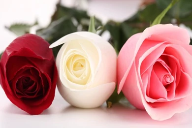 HD Widescreen Wallpapers Archives   Page 4 Of 26   Free Desktop ...