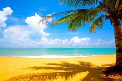 Free HD Beach Wallpapers   Wallpapers Cave