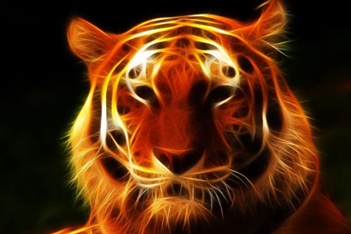 3d tigers wallpapers download.jpg