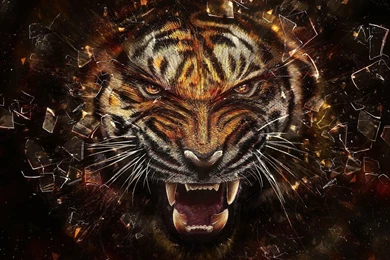 3D Tiger Wallpaper HD.jpg