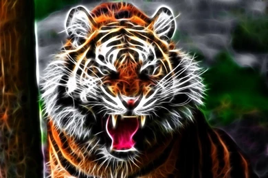 3d Tiger   (