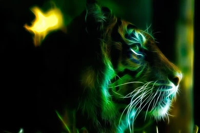 Wallpapers Tagged Tiger