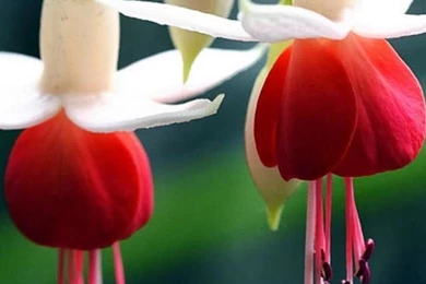 Phone Backgrounds Hd Tumblr Android Pinterest Iphone Quotes For ...