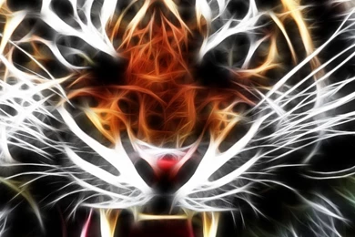 Tiger Android Wallpapers – Androidwalls.org
