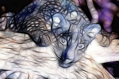 Best 3D Animal Wallpapers