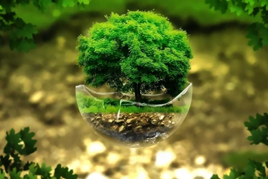 3D Tree Render Fantasy Wallpaper.jpg