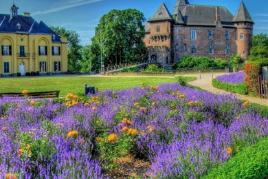 Download Wallpapers 1920x1080 Grass, Sky, Trees, Buildings, Hdr ...