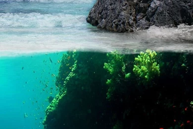 iPhone 5 Wallpapers A3f   HD Wallpapers