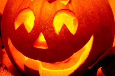 IPhone 5 Wallpapers Pumpkin.jpg