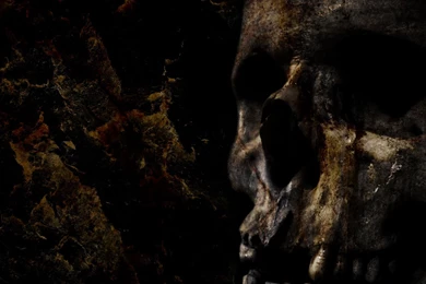 Nature HD Wallpaper Backgrounds (24)