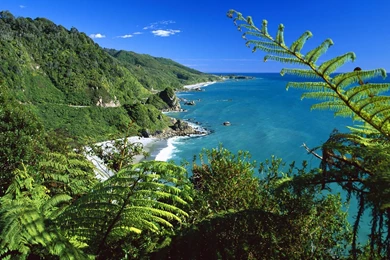 Paparoa National Park, New Zealand Wallpapers   Beach Wallpapers ...