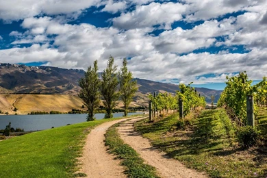 Full HD 1080p New Zealand Wallpapers HD, Desktop Backgrounds ...