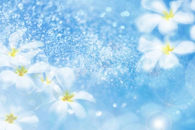 Amazing Flowers Backgrounds 1920x1200 Wallpapers, 1920x1200 ...