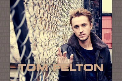 Tom Felton Wallpapers