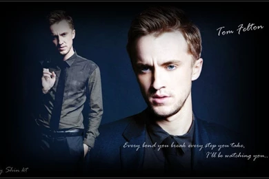My Wallpapers Tom Felton By Princekt On DeviantArt