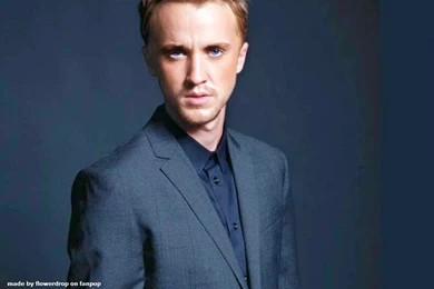 Tom Felton Wallpapers Tom Felton Wallpapers (31399456) Fanpop