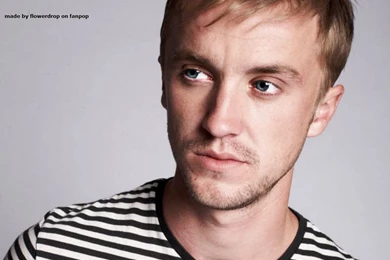 Tom Felton Wallpapers   Tom Felton Wallpapers (31399608)   Fanpop