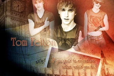 Tom Felton   Harry Potter Wallpapers (8476891)   Fanpop