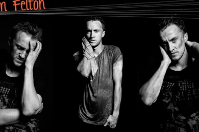 Tom Felton Wallpapers By Installyourhead On DeviantArt