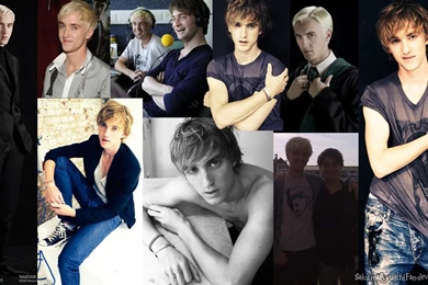 Tom Felton By Cor1313 On DeviantArt