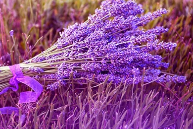 Download iPad Air Wallpapers 4820 2048x2048 Px High Resolution ...