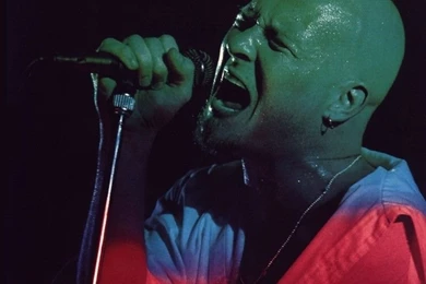 STP   Stone Temple Pilots Wallpapers (547793)   Fanpop