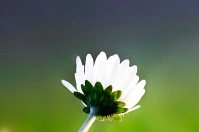 Astounding Wallpapers For Samsung Galaxy S3 Mini   12   Pelfind