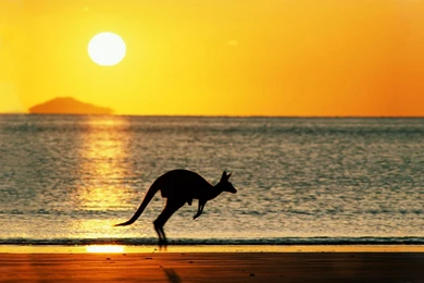 Australia Beaches   Wallpaper.