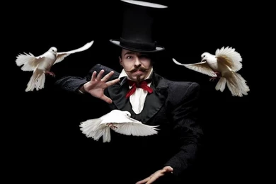 Magican Men Birds Hd Wallpapers (