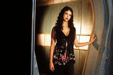 Beauty Morena Baccarin Wallpapers
