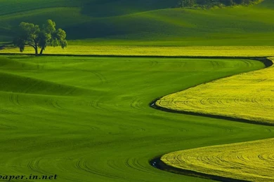 Full Hd 3d Wallpapers 1920x1080 Archives   Free Desktop Wallpapers ...