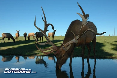 Free Desktop Wallpapers   Hunting, Fishing, Wildlife, And Nature ...