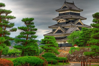 What Continent Should You Live In?