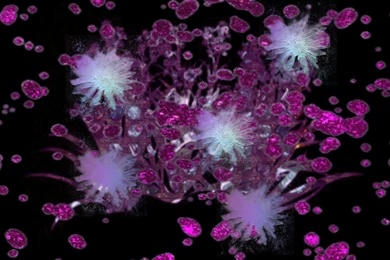 Purple Fractals Backgrounds Today By Jannied On DeviantArt