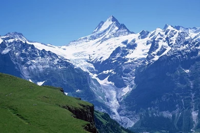 Wallpapers Mountains Snow 2015   Grasscloth Wallpapers