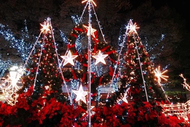 Christmas Day Wallpapers 2015   Grasscloth Wallpapers