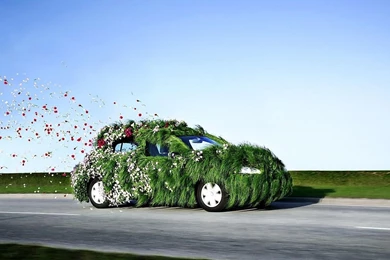 Hd 1280x800 Abstract Colors Desktop Wallpaper Backgrounds