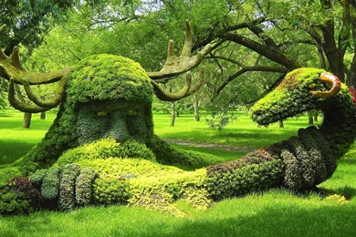 Top 2560x1600 Wallpapers