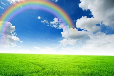 Hd Nature Images, Wallpapers Of Natures, Plants, Fresh Air, Windows ...